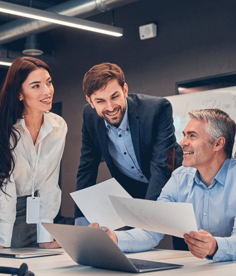 成長型企業軟件咨詢服務商